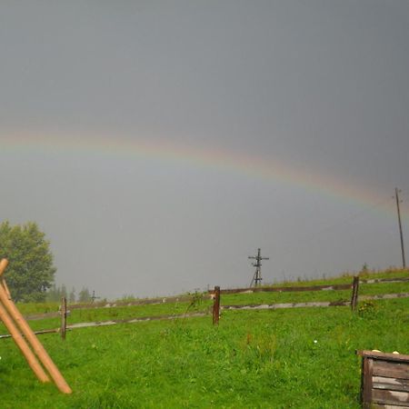 Lisovychok Villa Ворохта Екстериор снимка