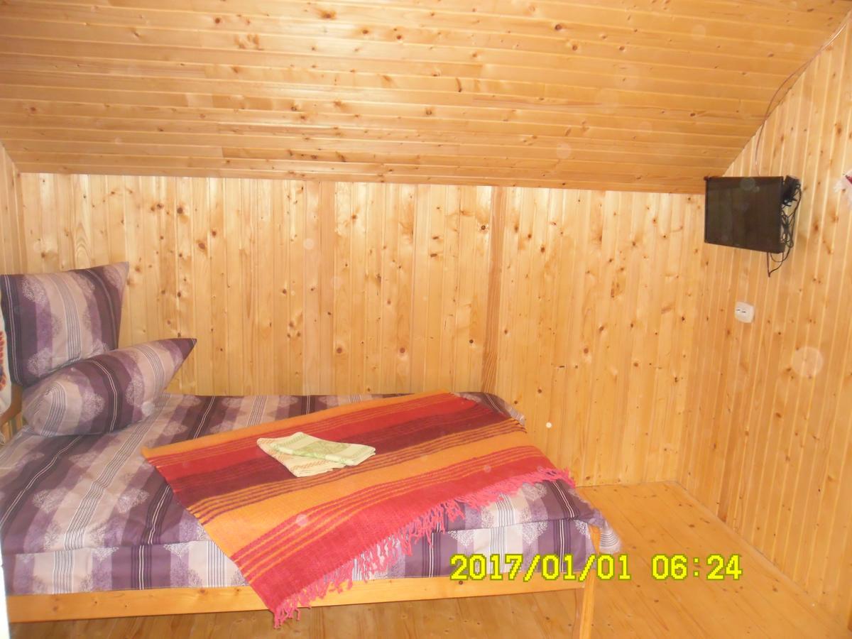Lisovychok Villa Ворохта Екстериор снимка