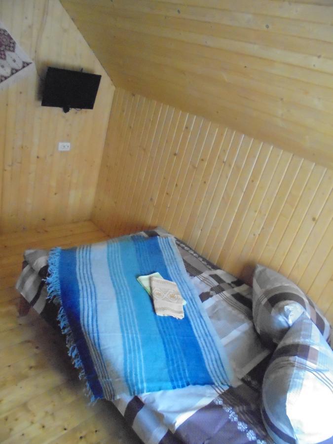 Lisovychok Villa Ворохта Екстериор снимка