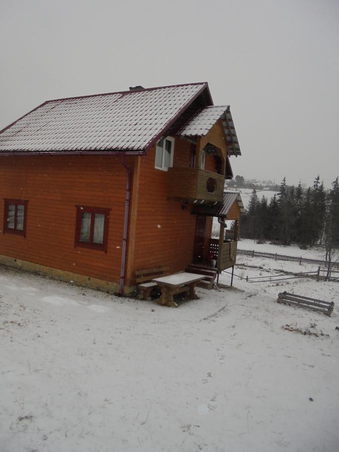 Lisovychok Villa Ворохта Екстериор снимка