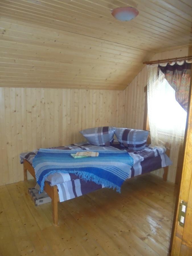 Lisovychok Villa Ворохта Екстериор снимка