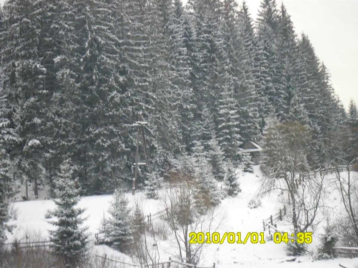 Lisovychok Villa Ворохта Екстериор снимка