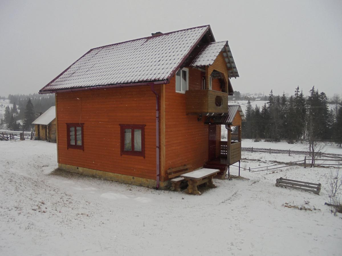 Lisovychok Villa Ворохта Екстериор снимка