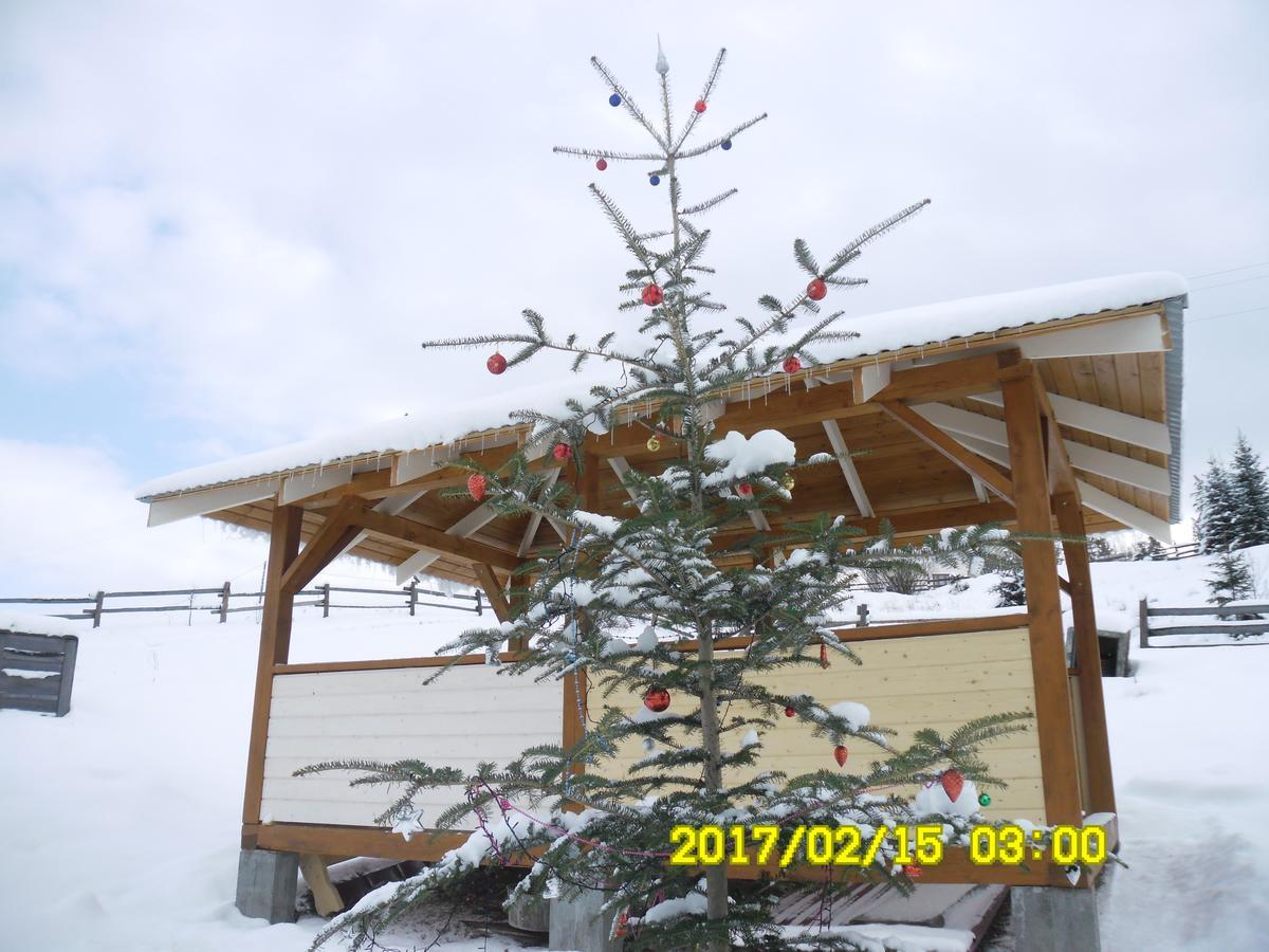 Lisovychok Villa Ворохта Екстериор снимка