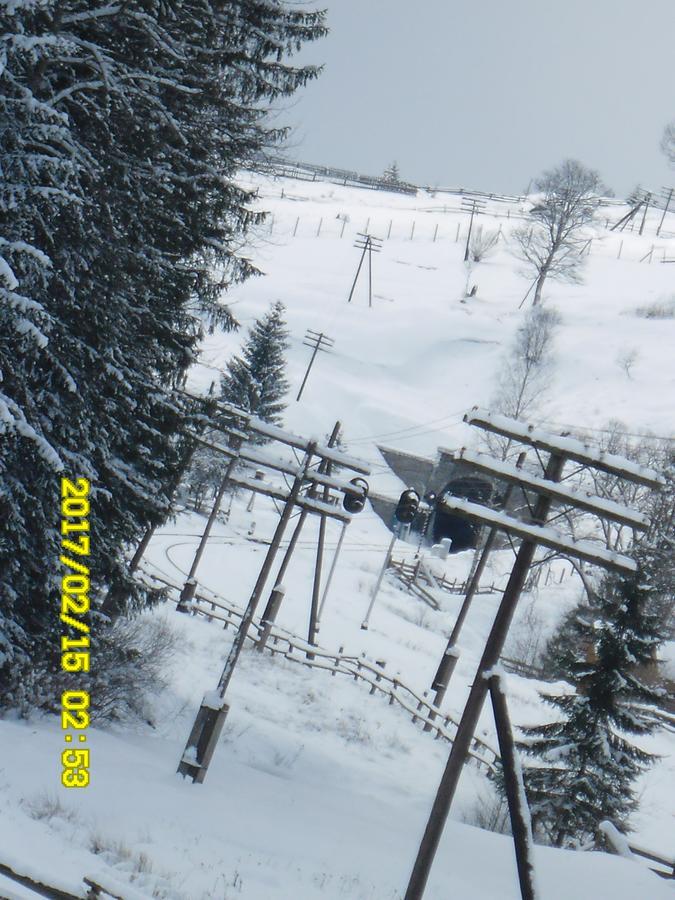 Lisovychok Villa Ворохта Екстериор снимка