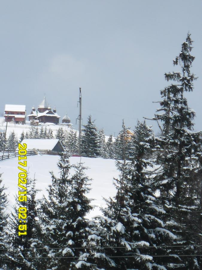 Lisovychok Villa Ворохта Екстериор снимка