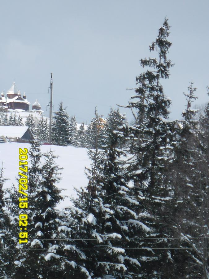Lisovychok Villa Ворохта Екстериор снимка