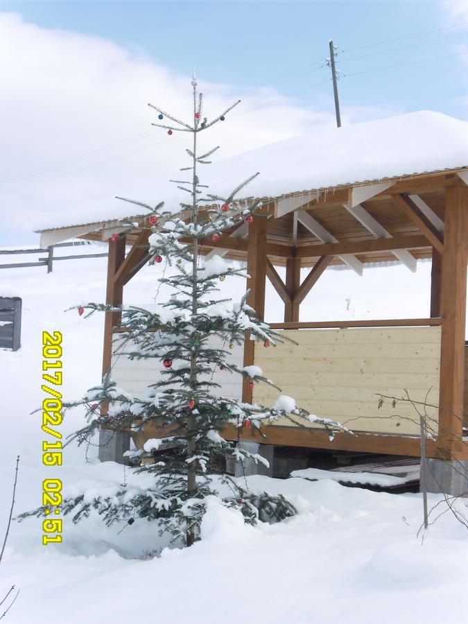 Lisovychok Villa Ворохта Екстериор снимка