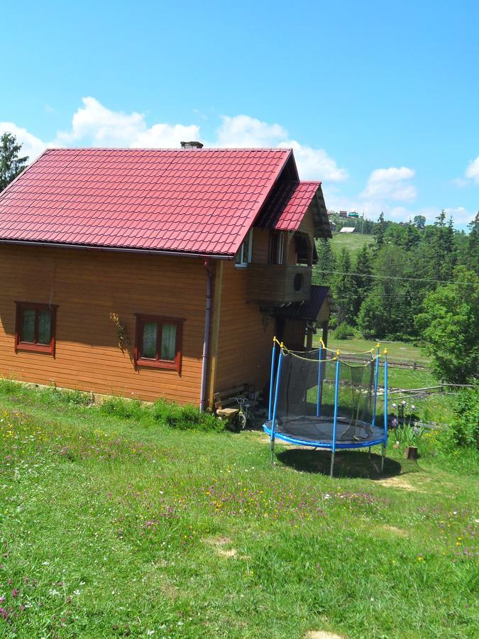 Lisovychok Villa Ворохта Екстериор снимка