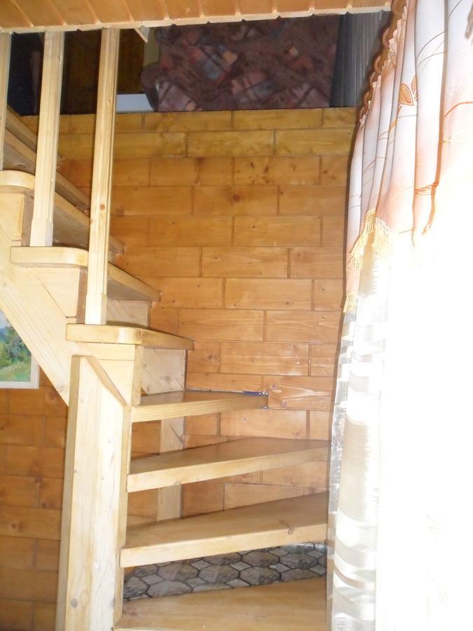Lisovychok Villa Ворохта Екстериор снимка