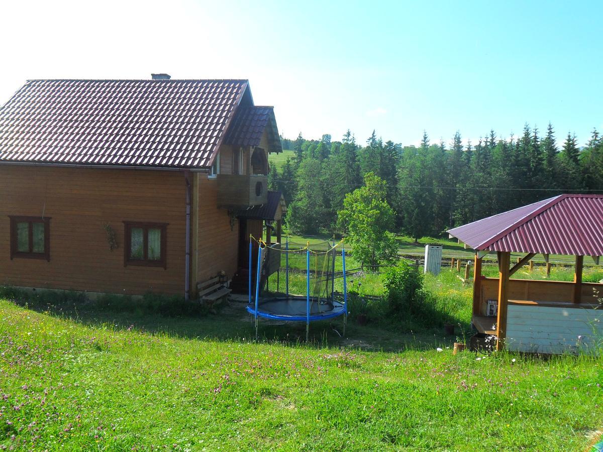 Lisovychok Villa Ворохта Екстериор снимка