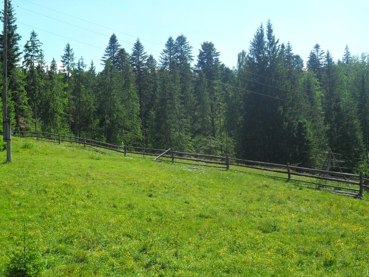 Lisovychok Villa Ворохта Екстериор снимка